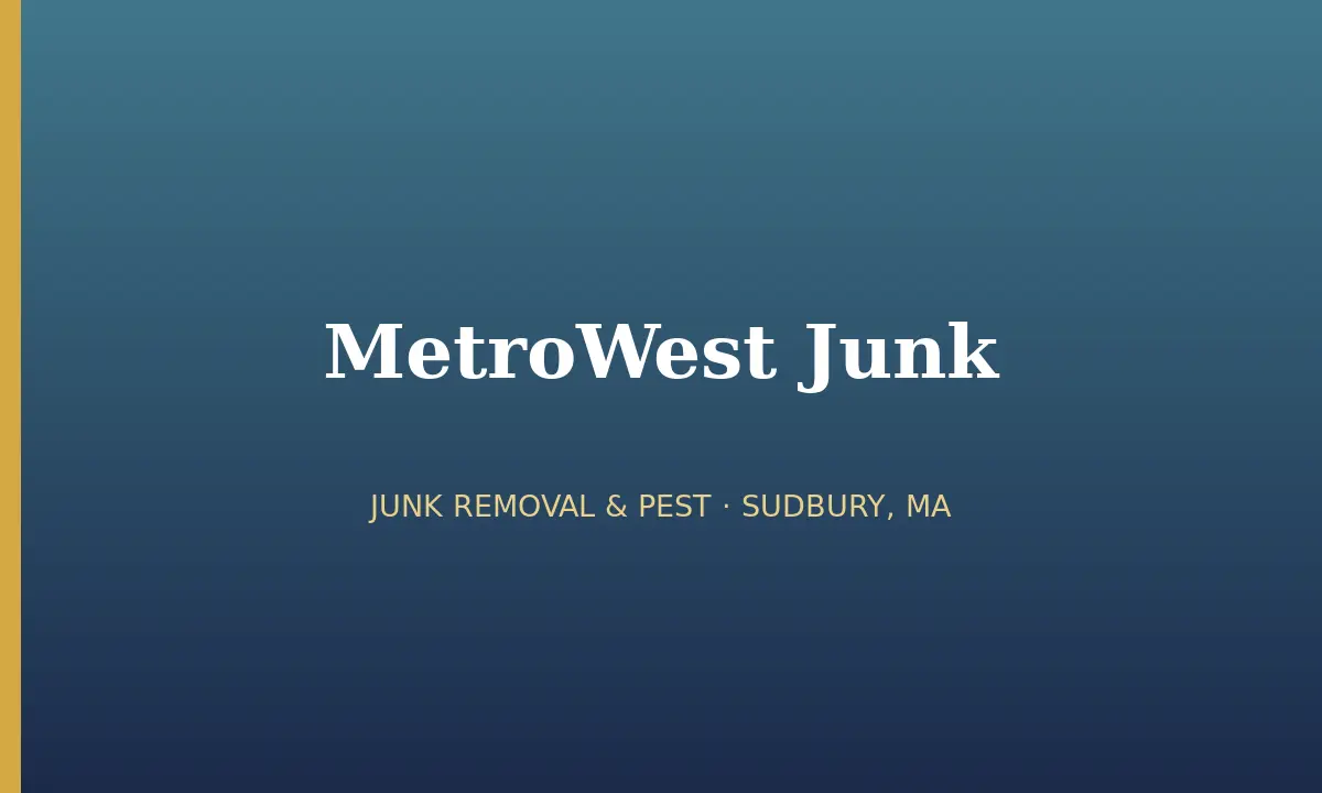 MetroWest Junk cover