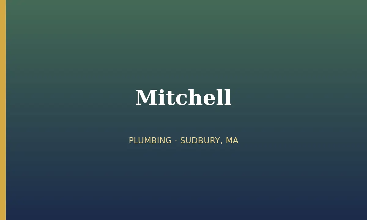 Mitchell cover